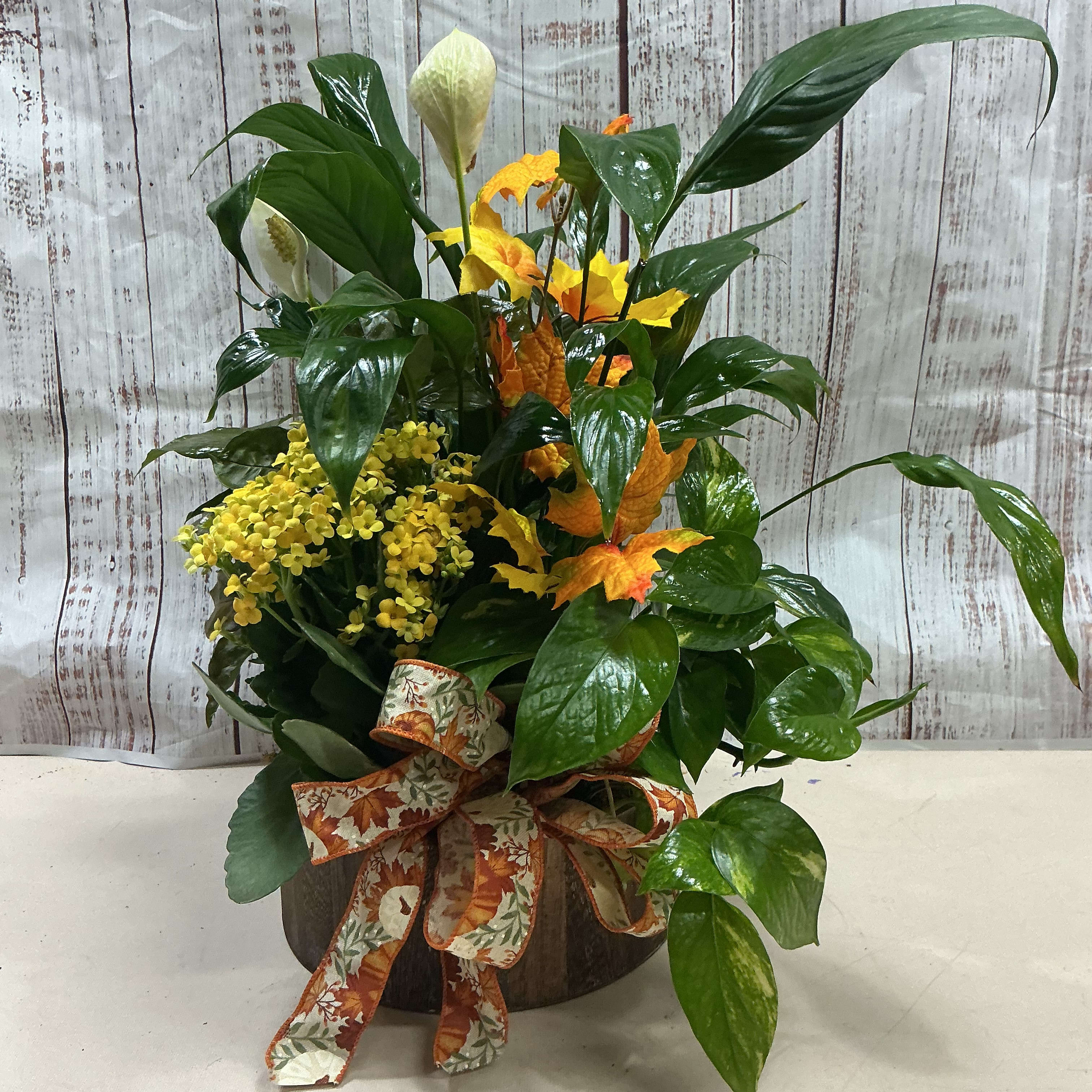 Wooden Container with plants