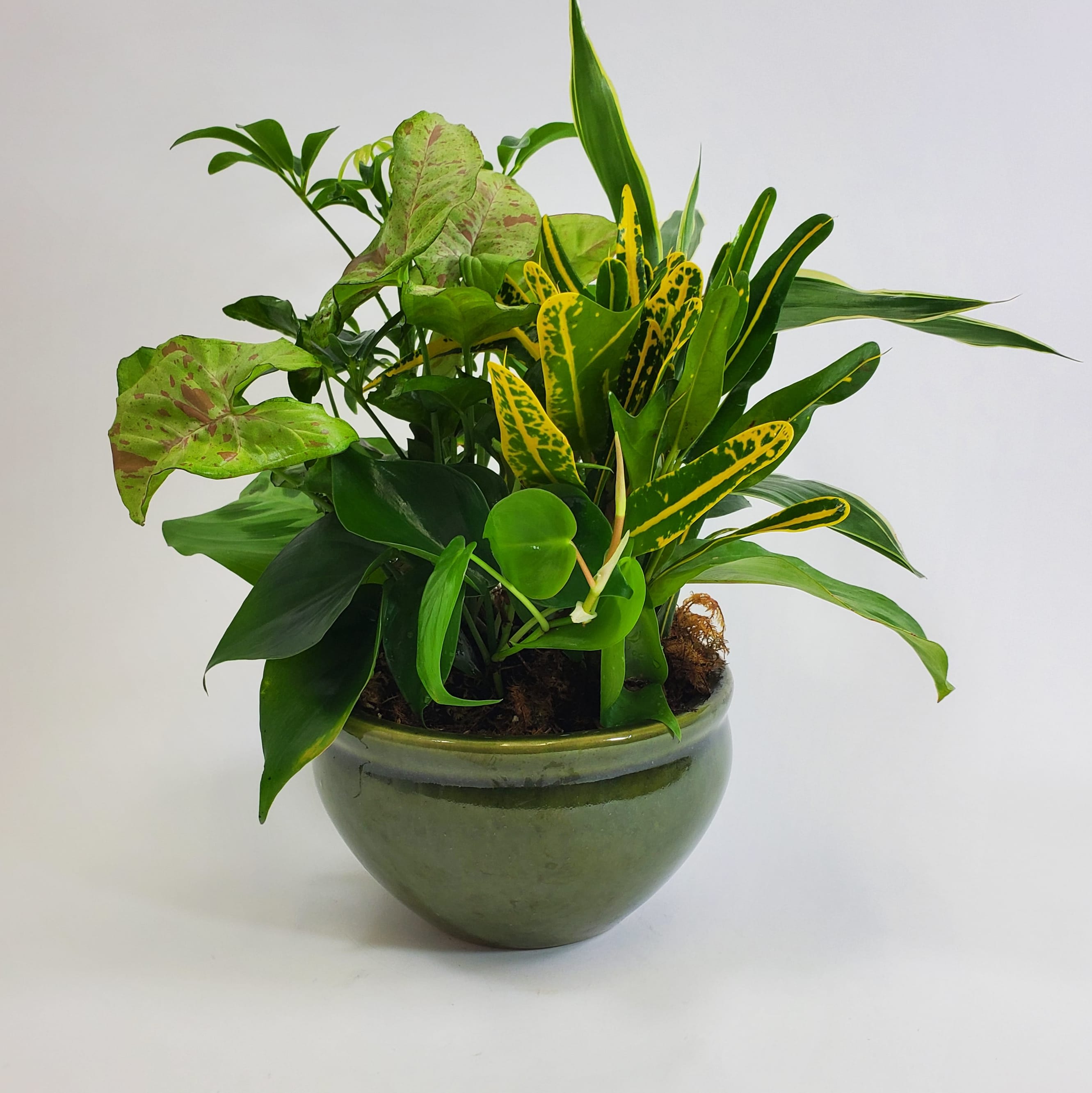 Small Dish Garden Flower Bouquet