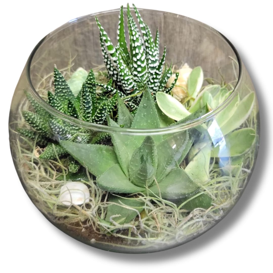 Bubble Bowl Terrarium Flower Bouquet