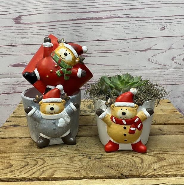 Holiday Succulent in Deer Pot Flower Bouquet