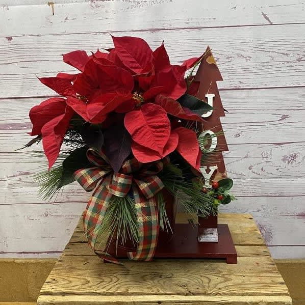 Joy Poinsettia Planter