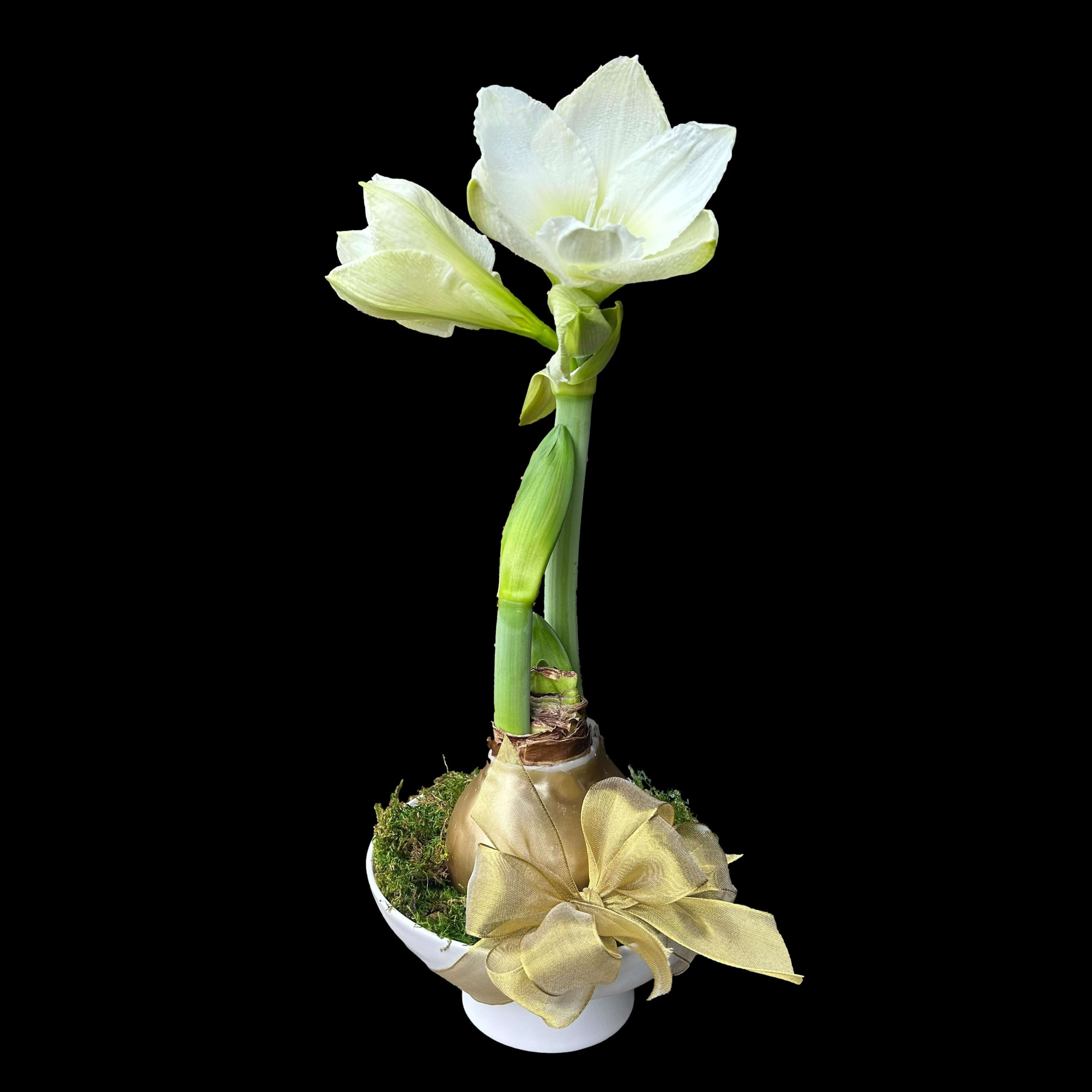 White and Gold Amaryllis Centerpiece