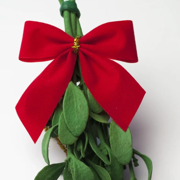 Mistletoe