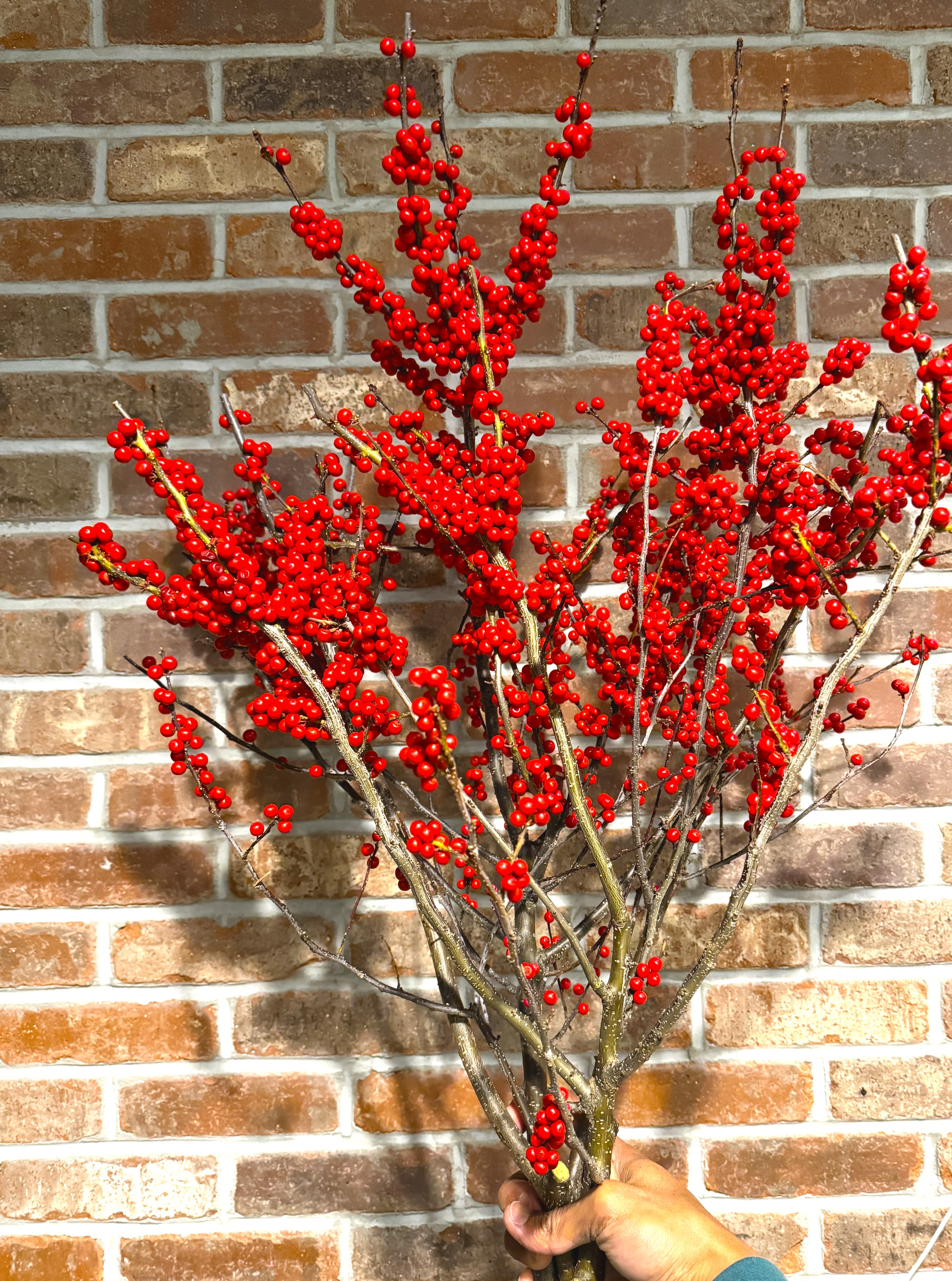 Winter Berries bunch Flower Bouquet