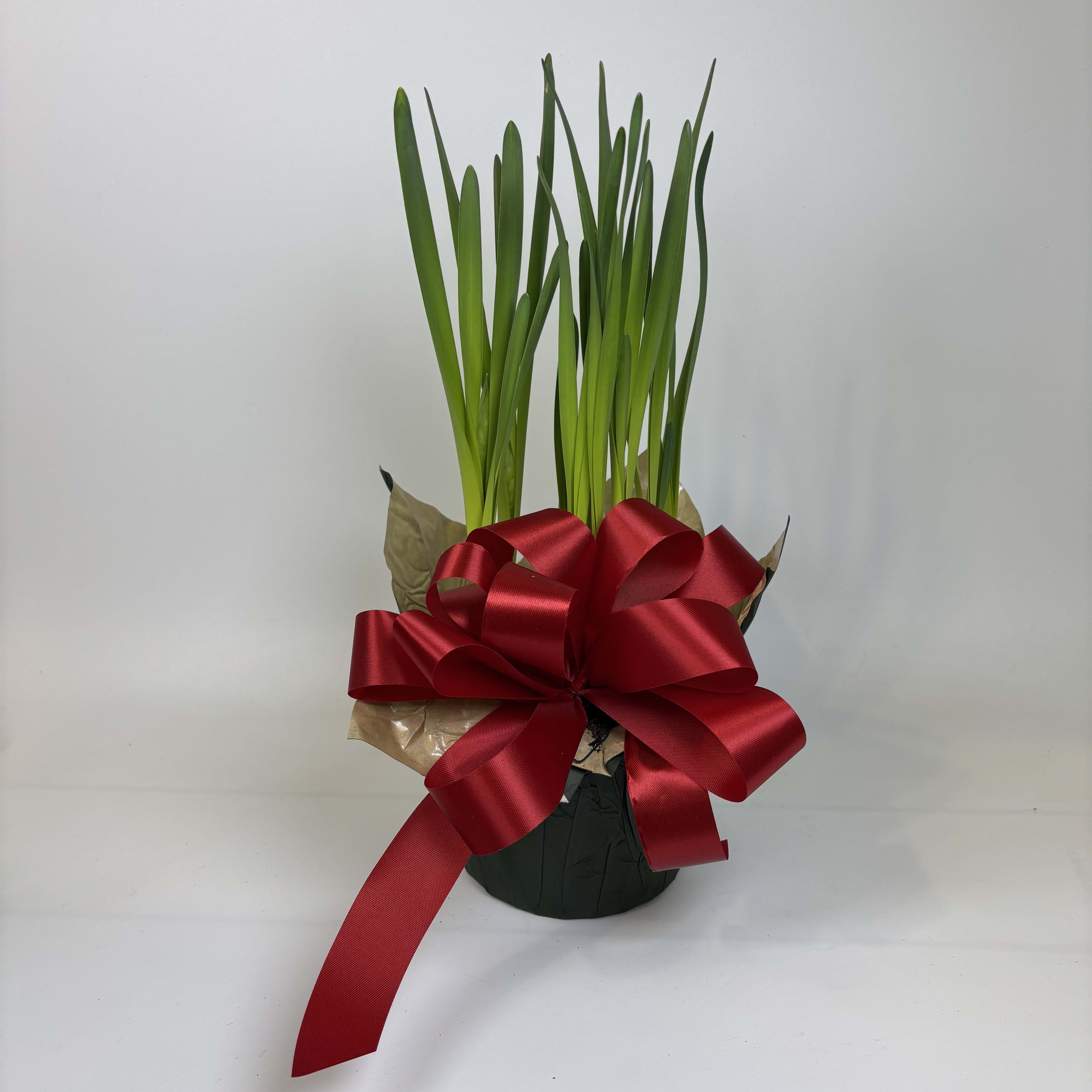 Paper White Flower Bouquet