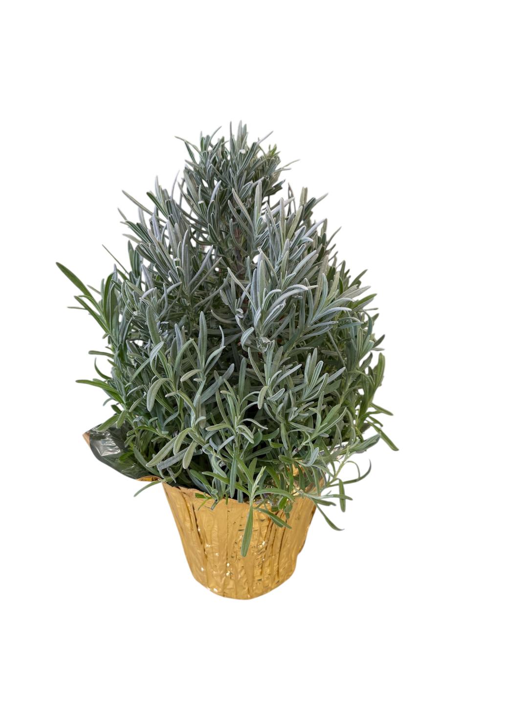 Holiday Lavender Tree Flower Bouquet