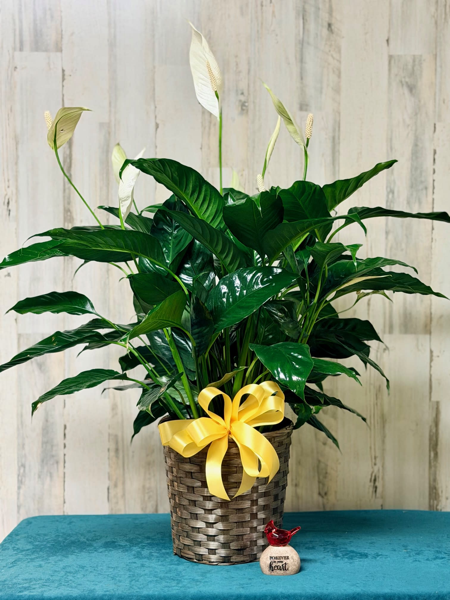 PEACE LILY Flower Bouquet