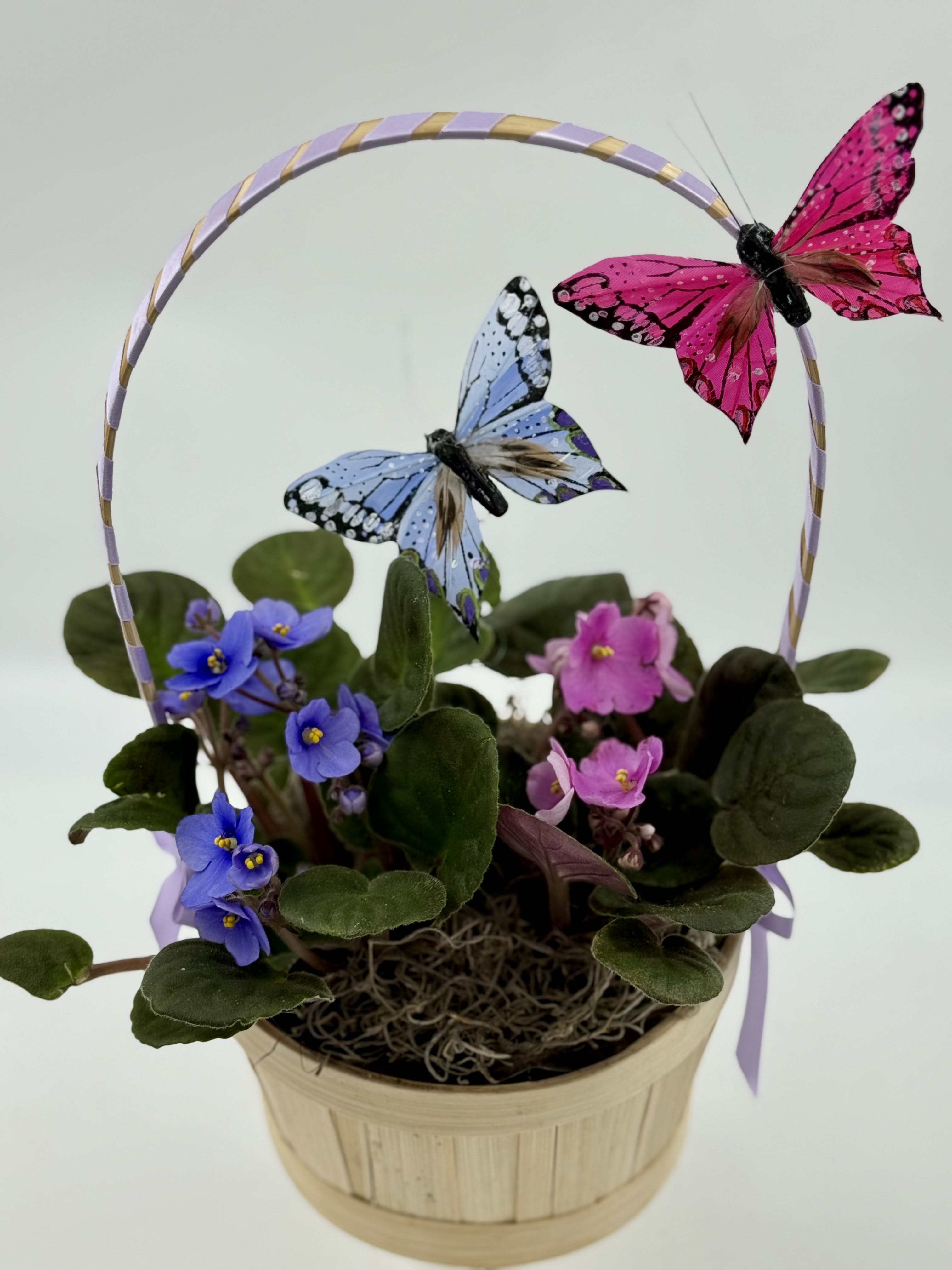 Violets and Butterflies Garden Basket