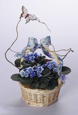 Violets In Wicker