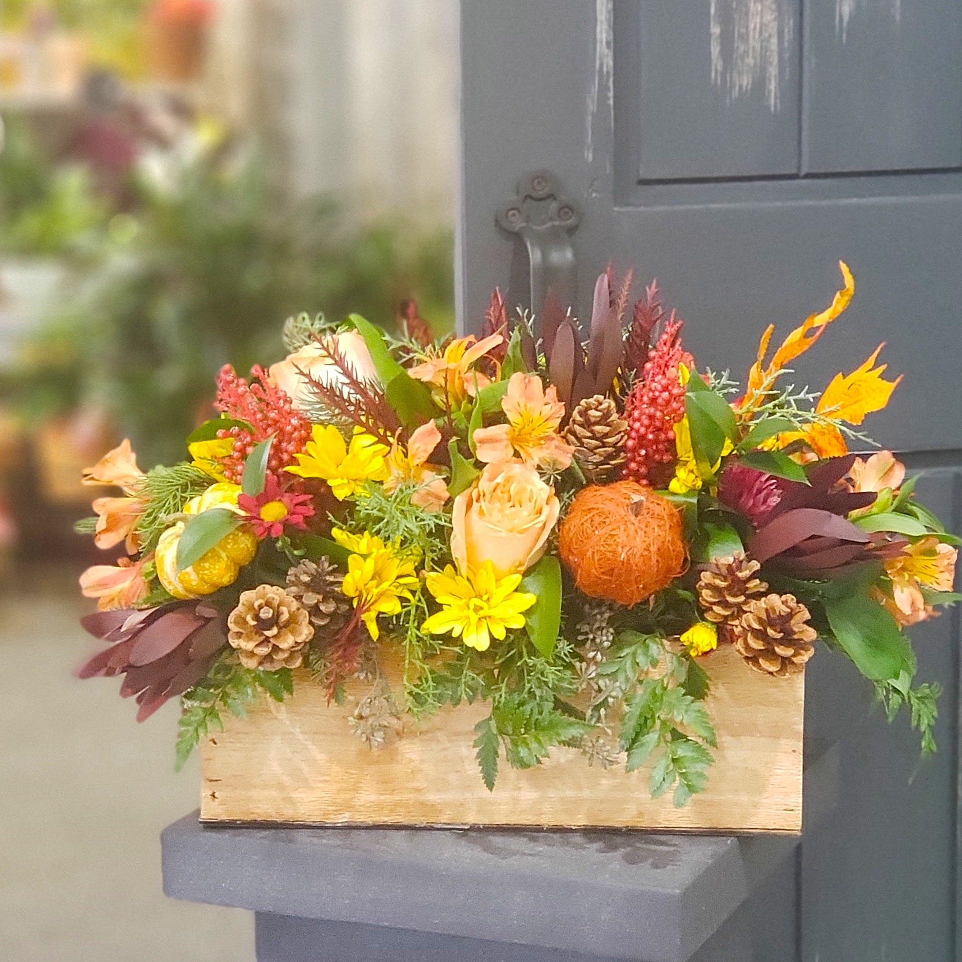 Feast Your Eyes- Cedar Box