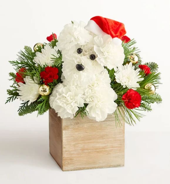 Santa Paws Flower Bouquet