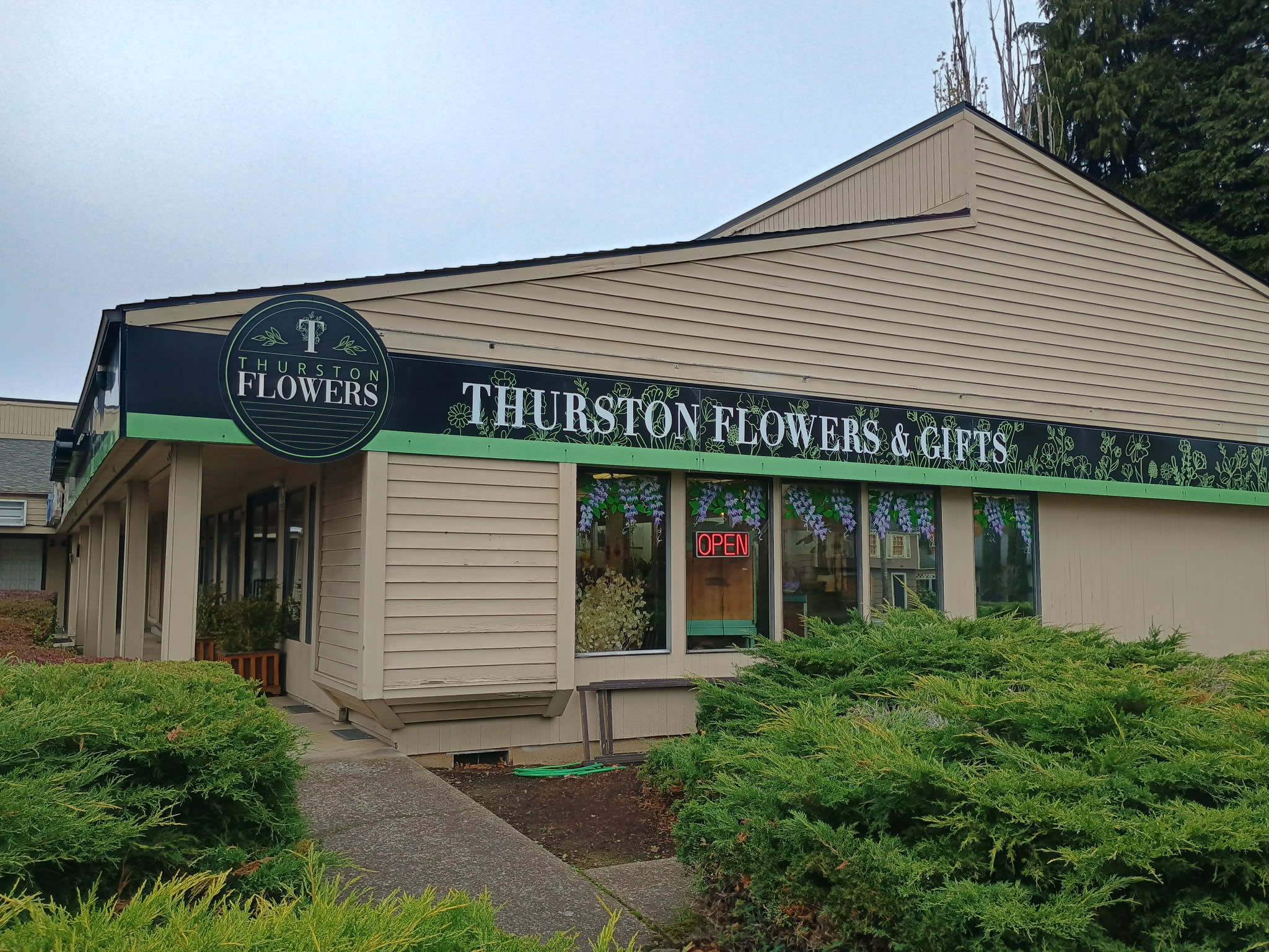 Introduction picture