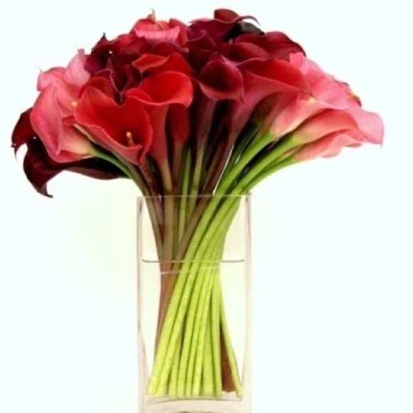 Enchanted Calla Blooms Flower Bouquet