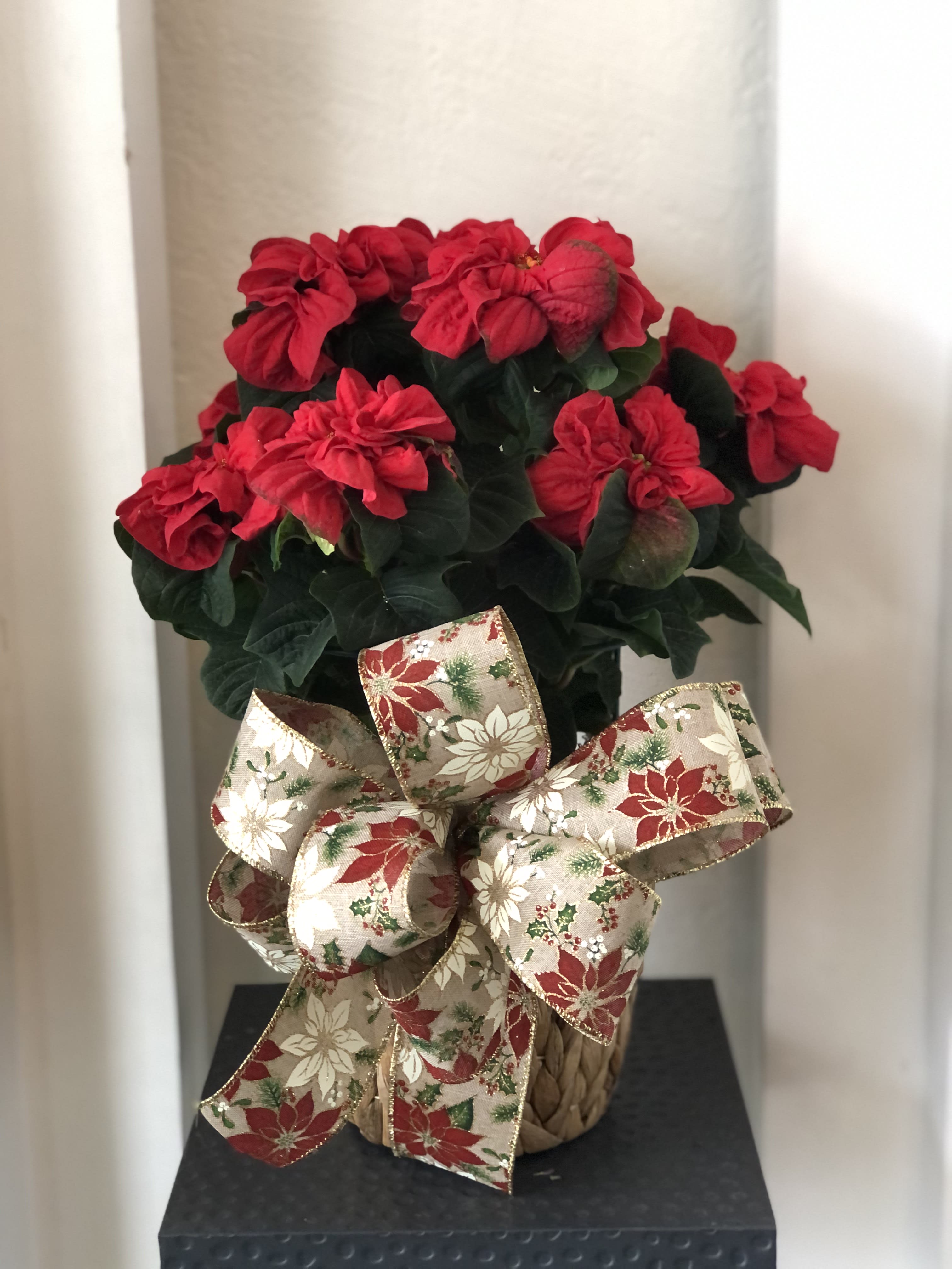 Red Rose Poinsettia Flower Bouquet