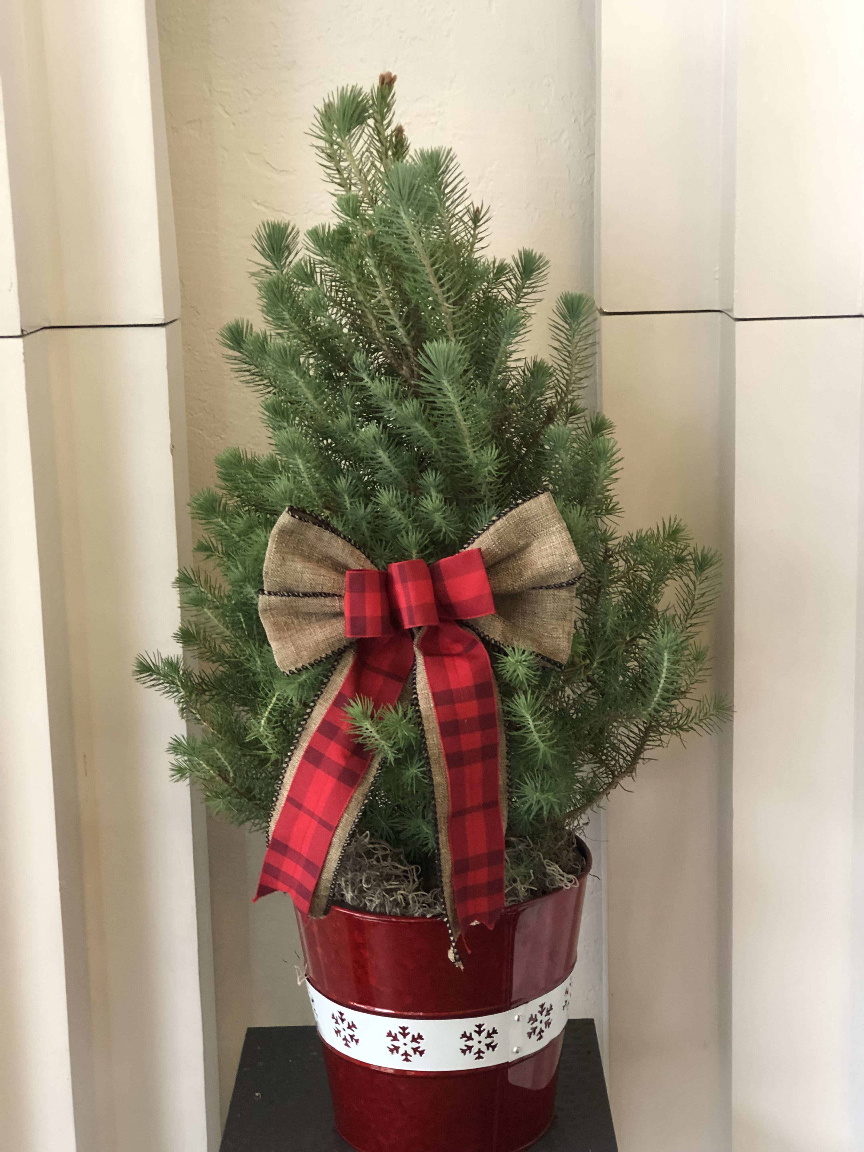 Table Top Pine Tree Flower Bouquet