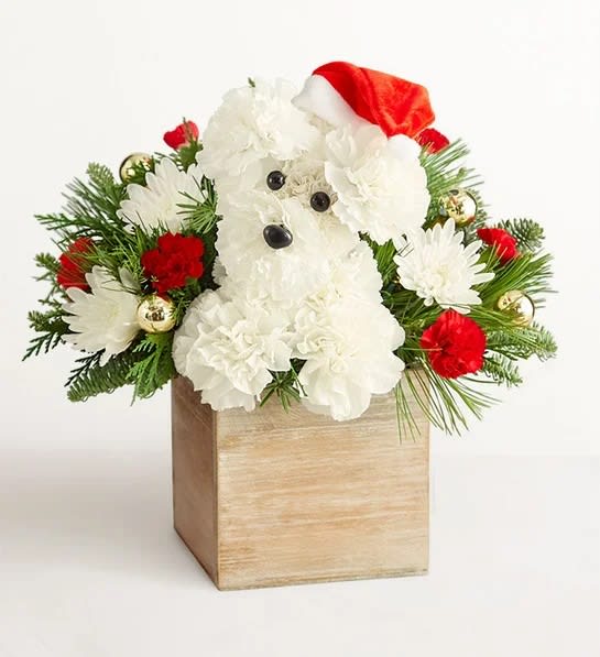 Santa Paws Flower Bouquet