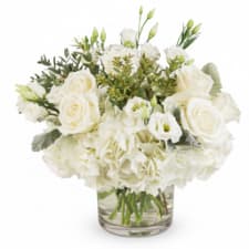 Sympathy Arrangements - Holmdel, NJ