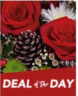 Christmas Deal of the Day