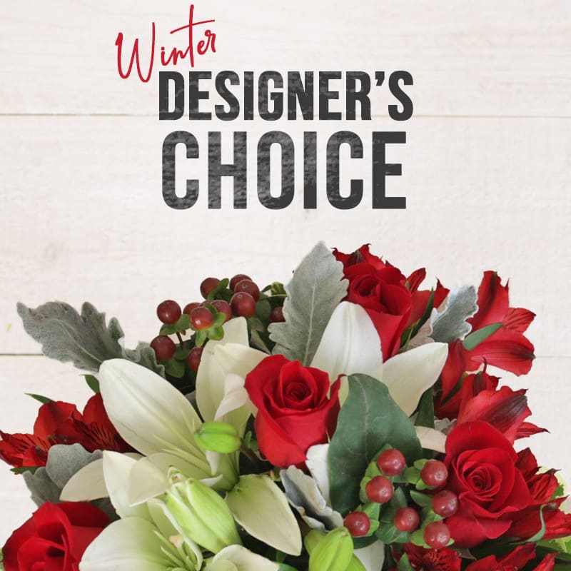 Winter - Designers Choice