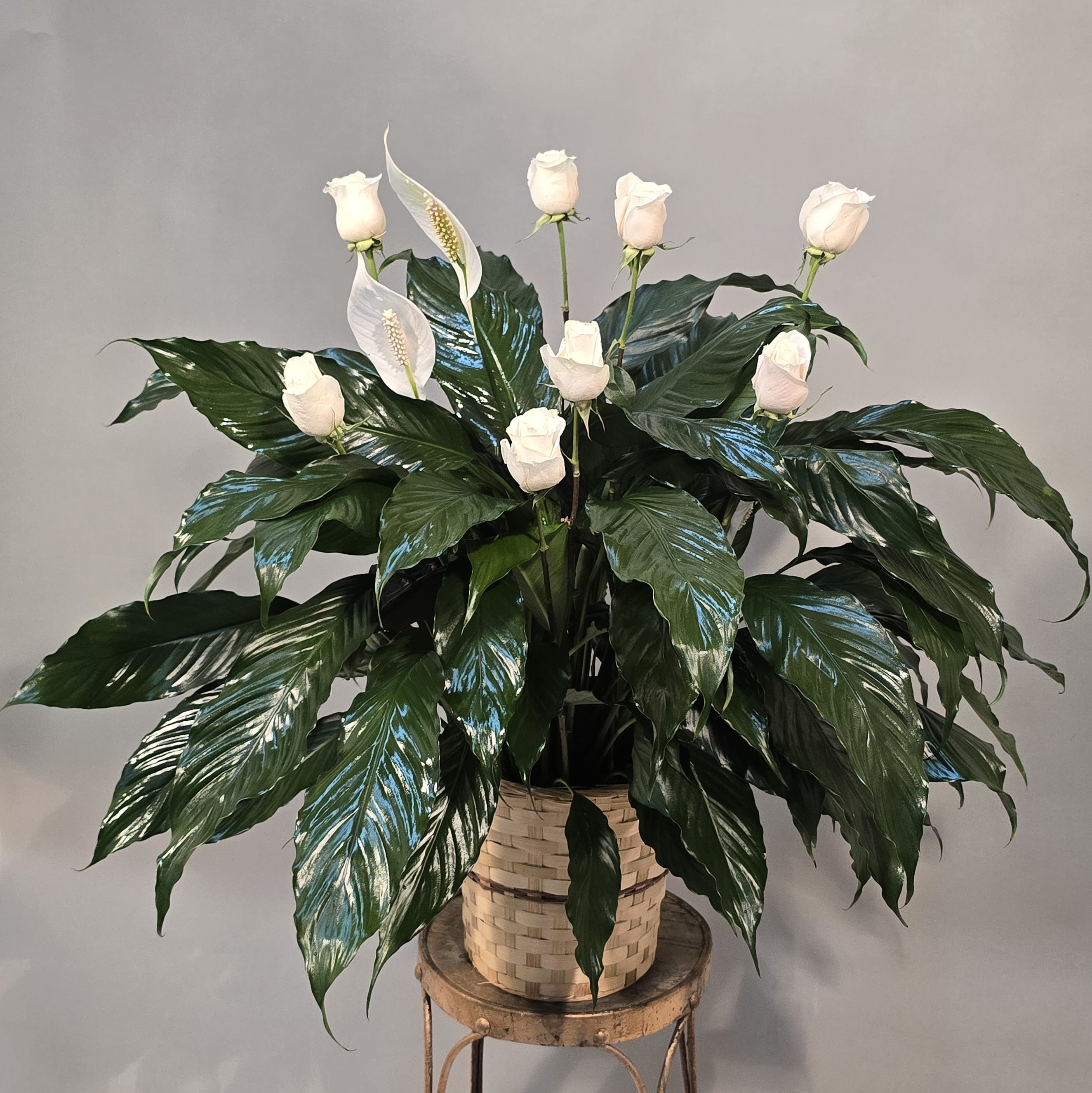 PEACE LILY WITH WHITE ROSES