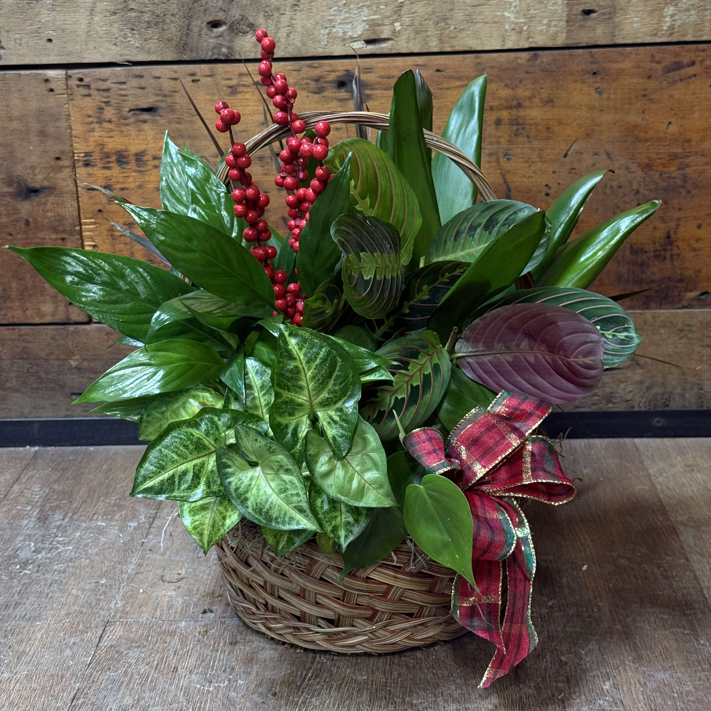 10' DishGarden Basket