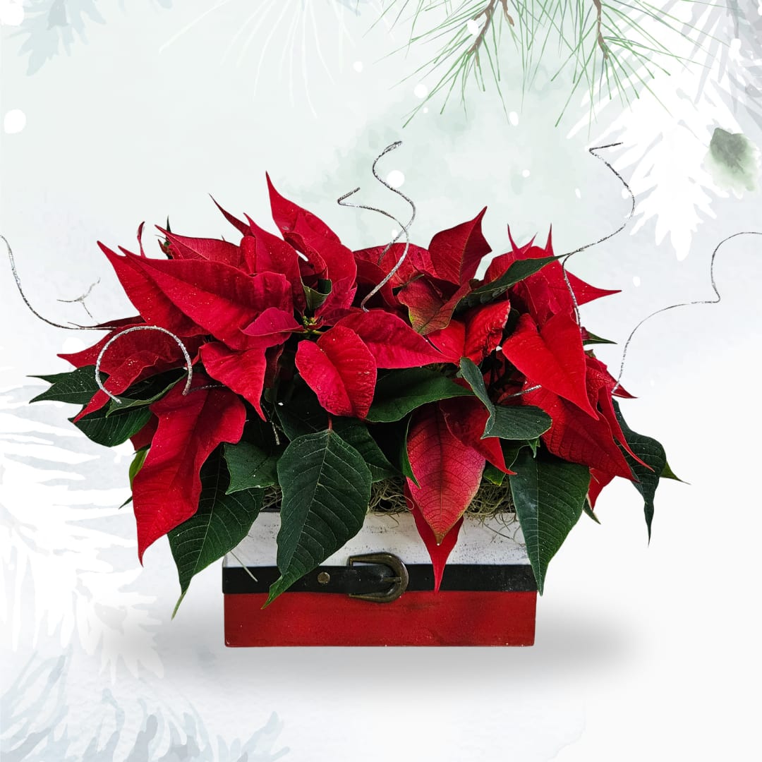 Santa Box Flower Bouquet