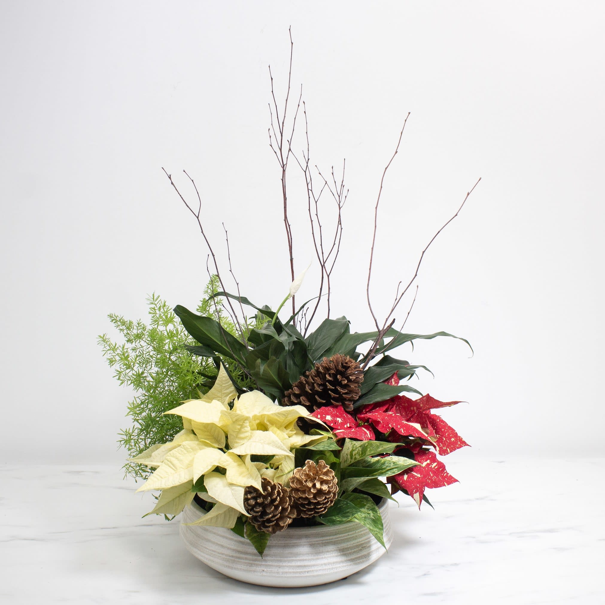 Premium Holiday Dish Garden