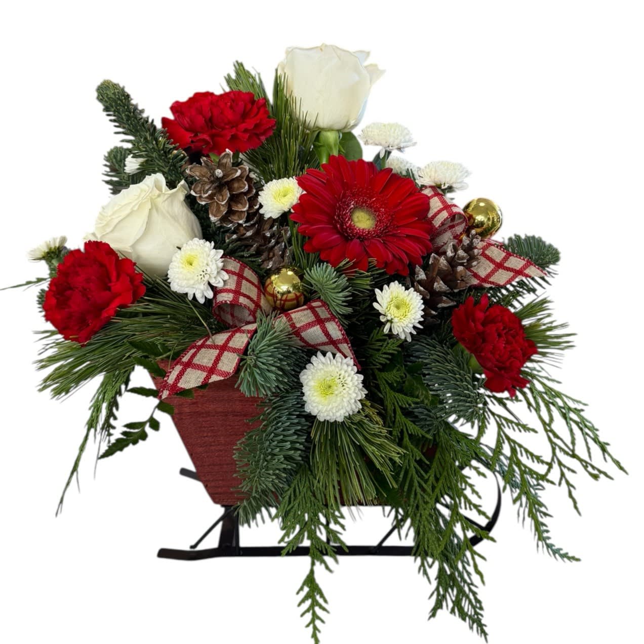 Dashing through the snow