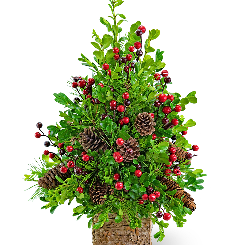 Adorned Boxwood and Pine  Tree Flower Bouquet