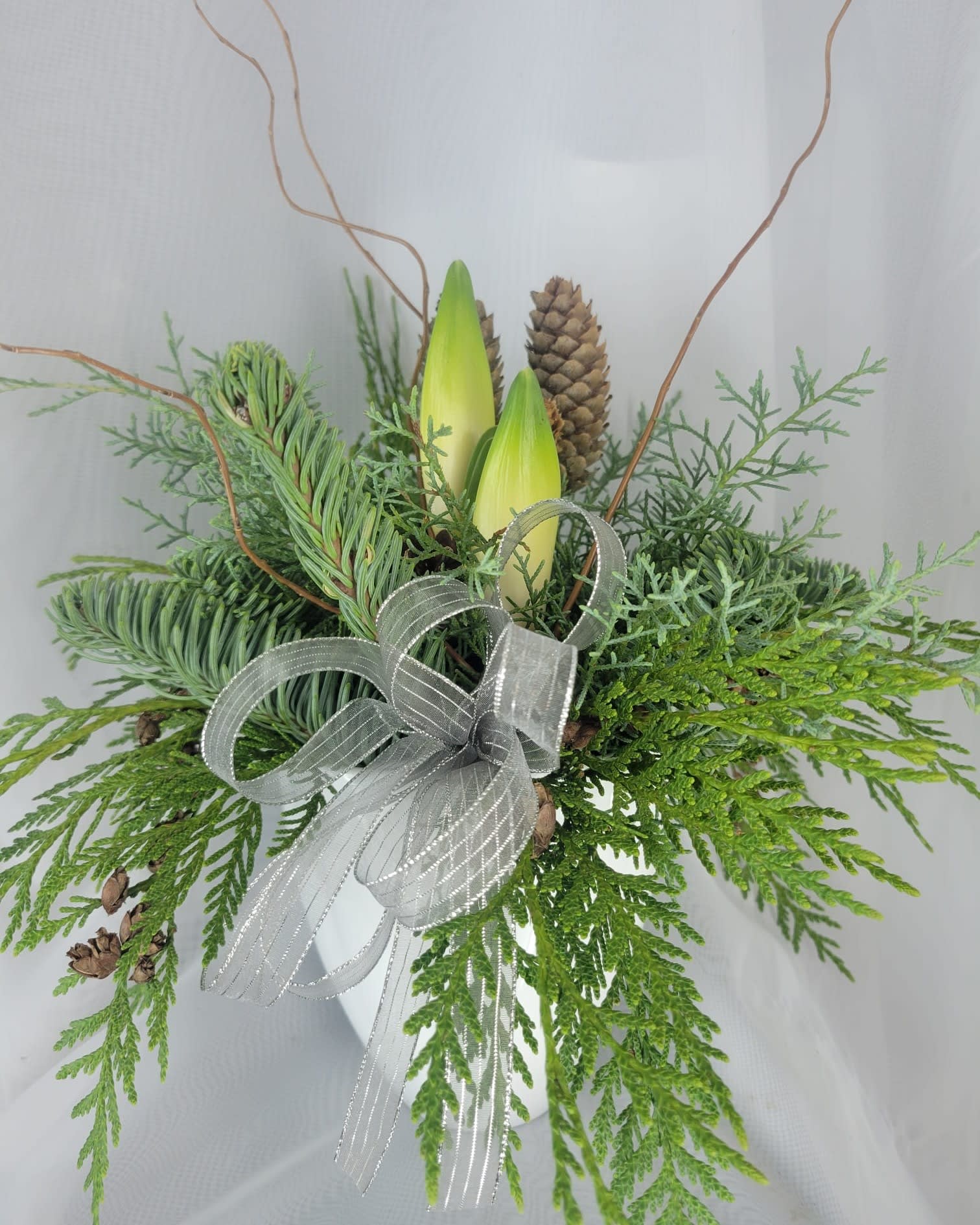 Potted Holiday Amaryllis