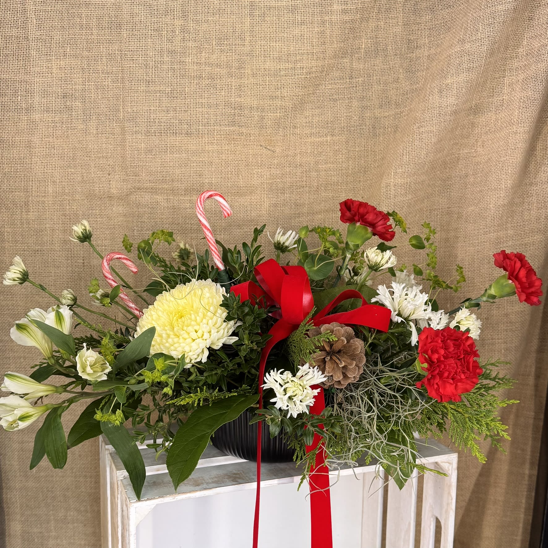 Candy Cane Christmas