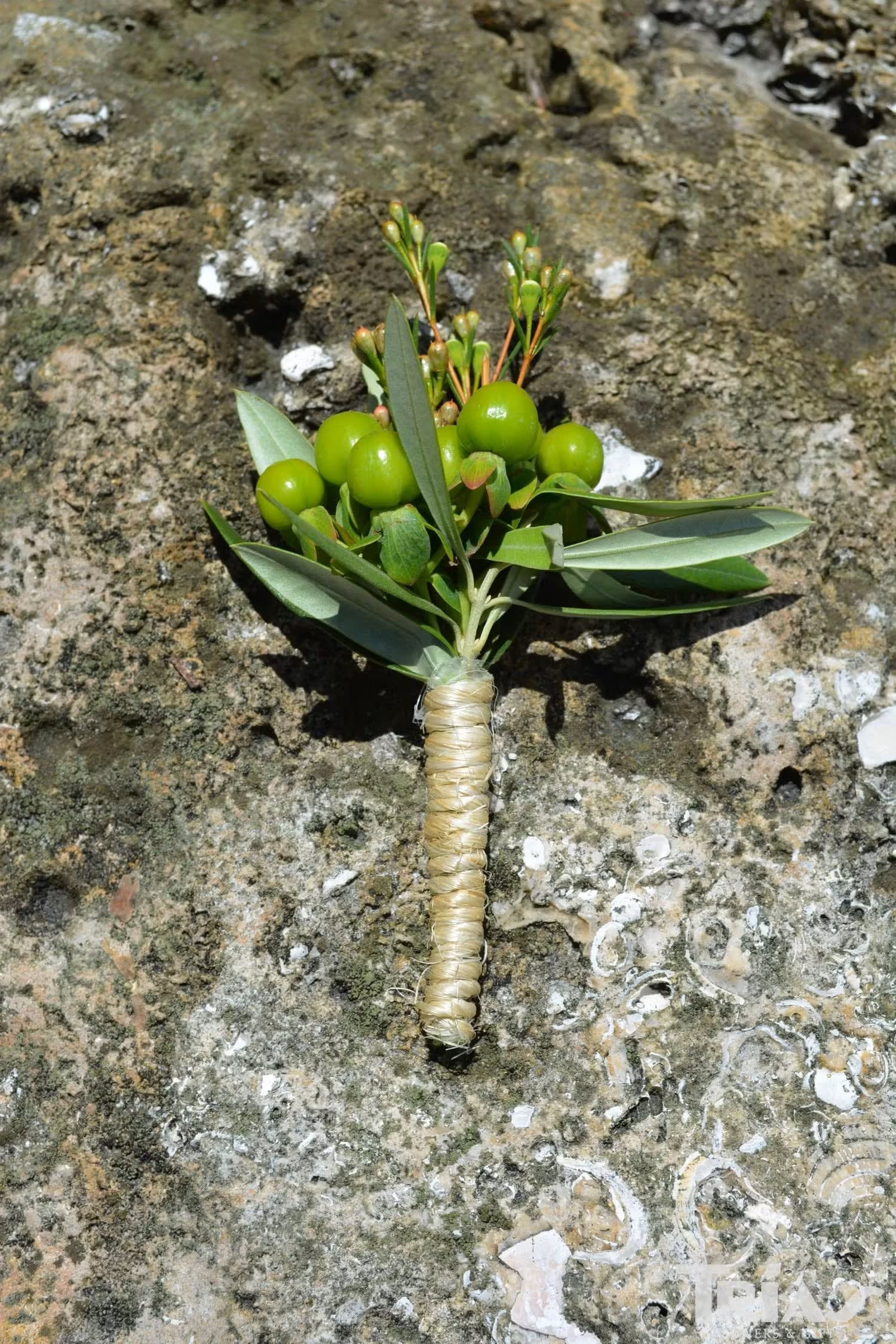Wedding boutonniere or corsage by Tropical Arrangements, Randallstown MD