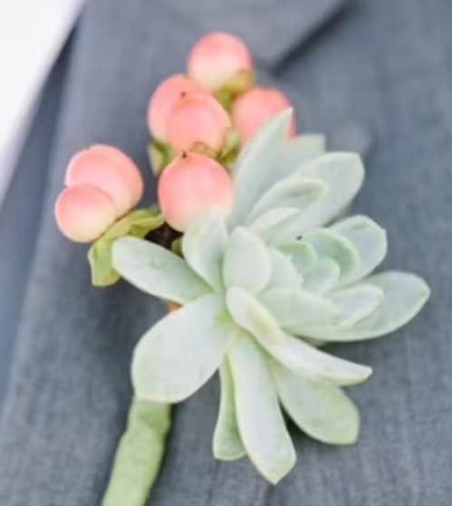 Wedding boutonniere or corsage by Tropical Arrangements, Randallstown MD
