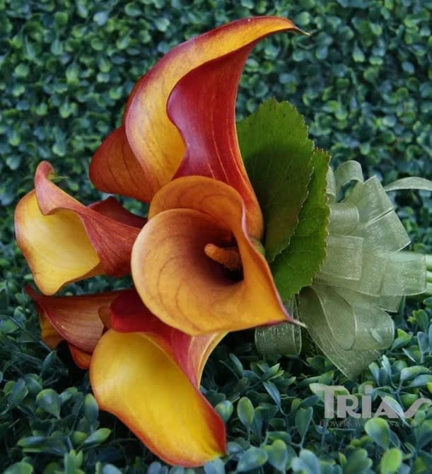 Bridesmaid bouquet by Tropical Arrangements, Randallstown MD