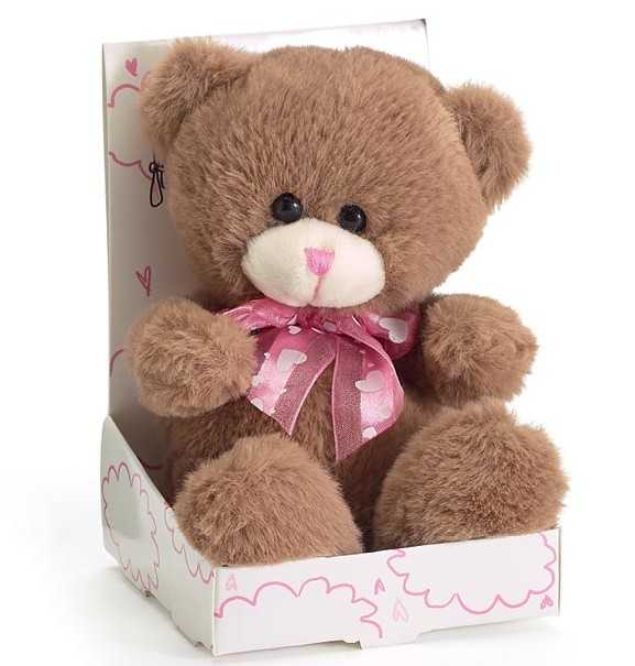 Love is in the air - Box Bear Flower Bouquet