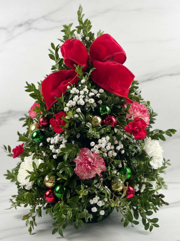 Premium Boxwood Tree