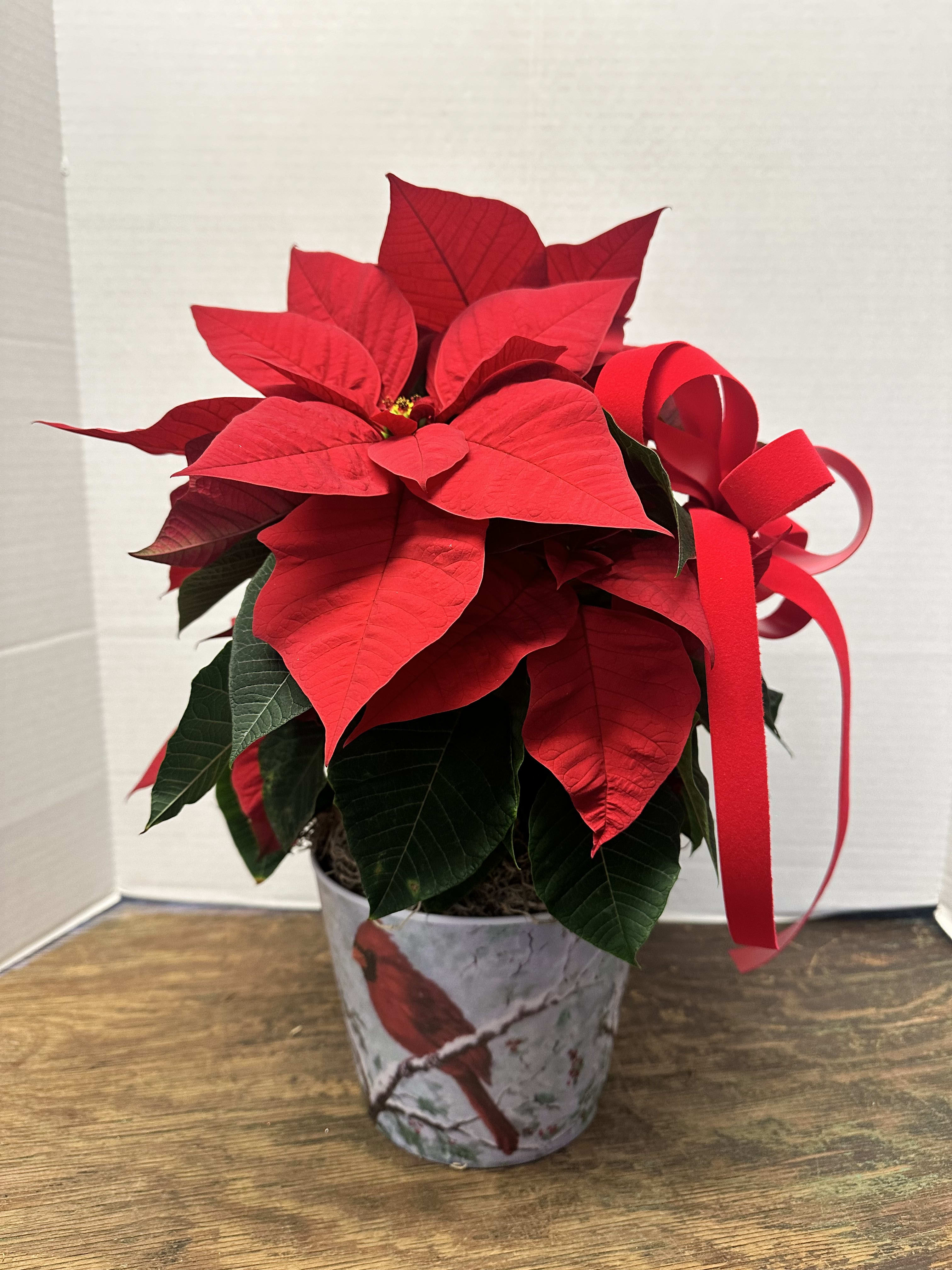 6.5" Poinsettia Flower Bouquet
