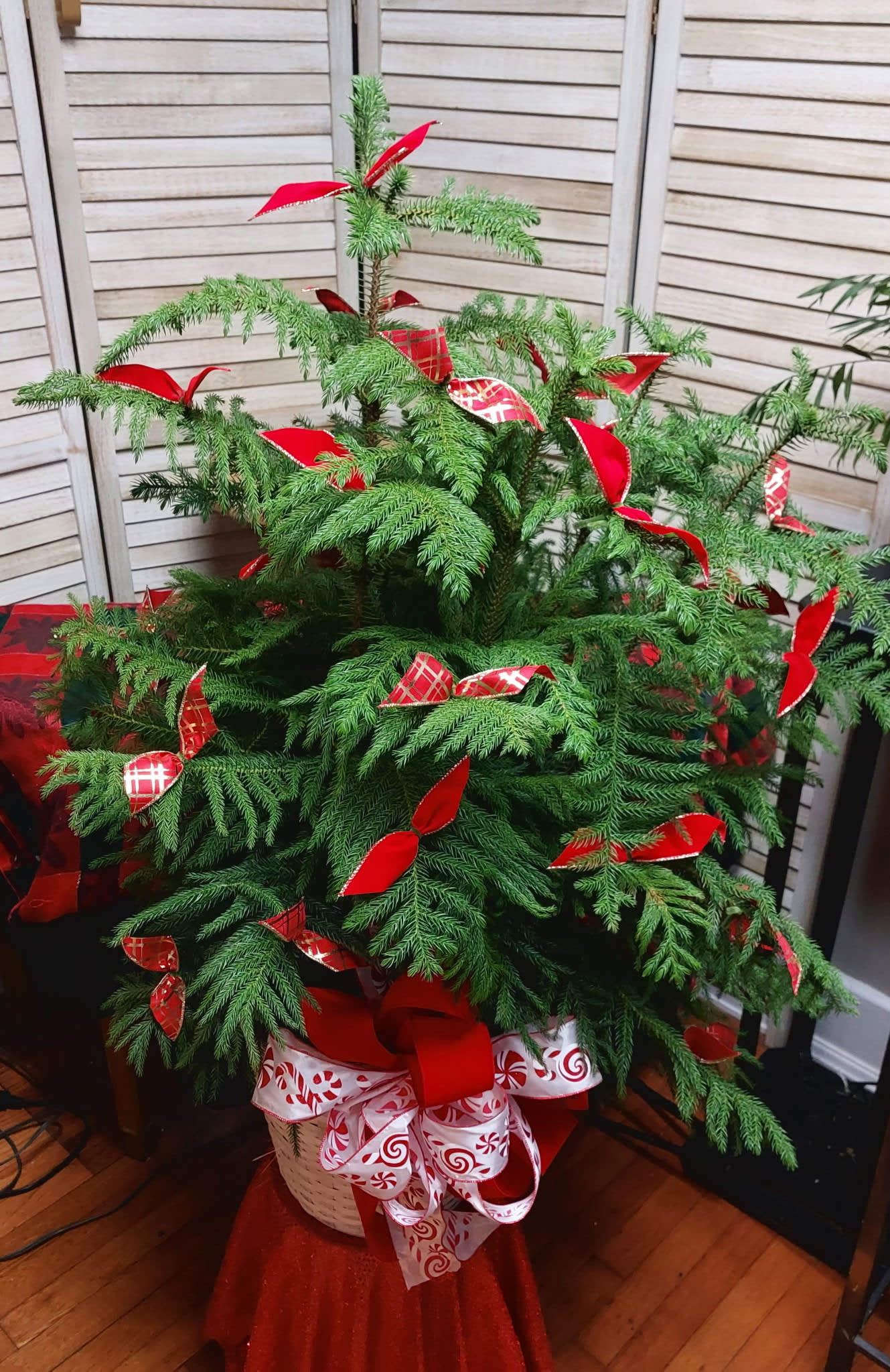 Festive Pine Tree Flower Bouquet