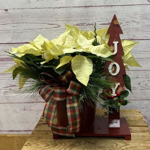 Joy Poinsettia Planter Flower Bouquet