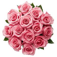 Dozen Pink Roses Flower Bouquet