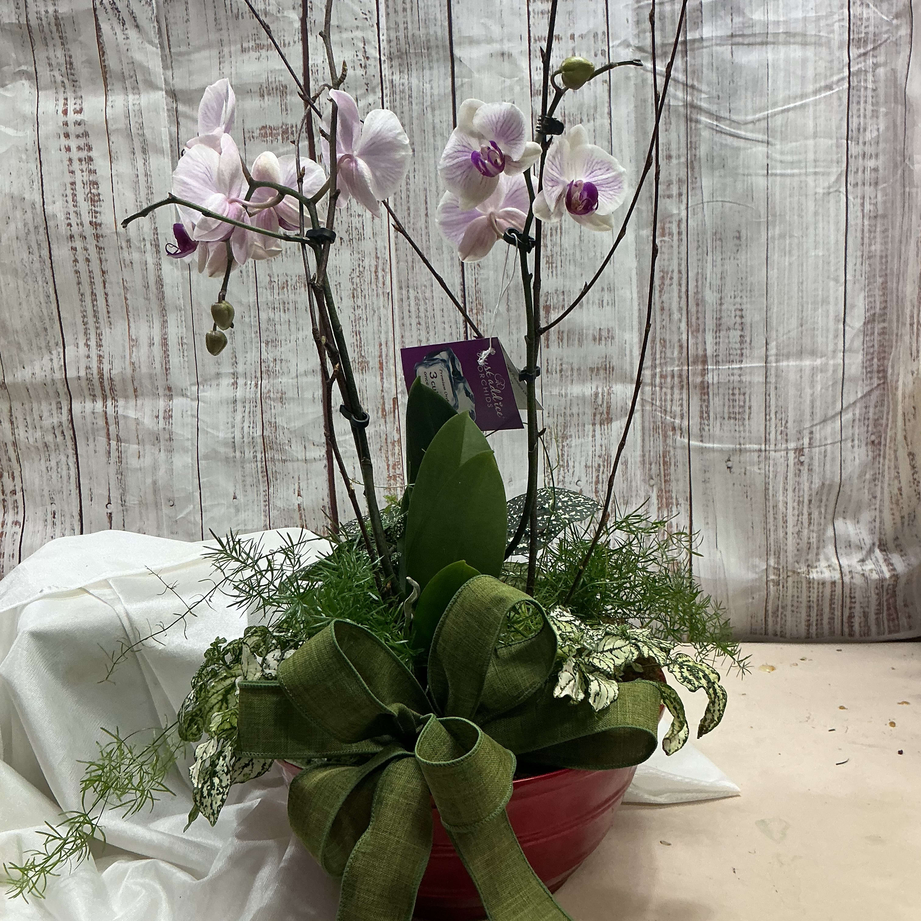Planter with orchid