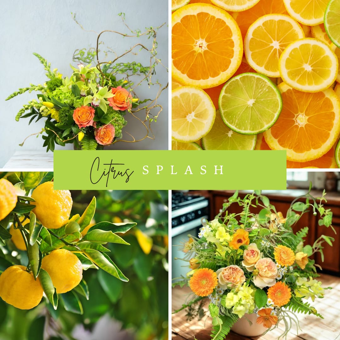 Citrus Splash- Valentine's Day Designers Choice