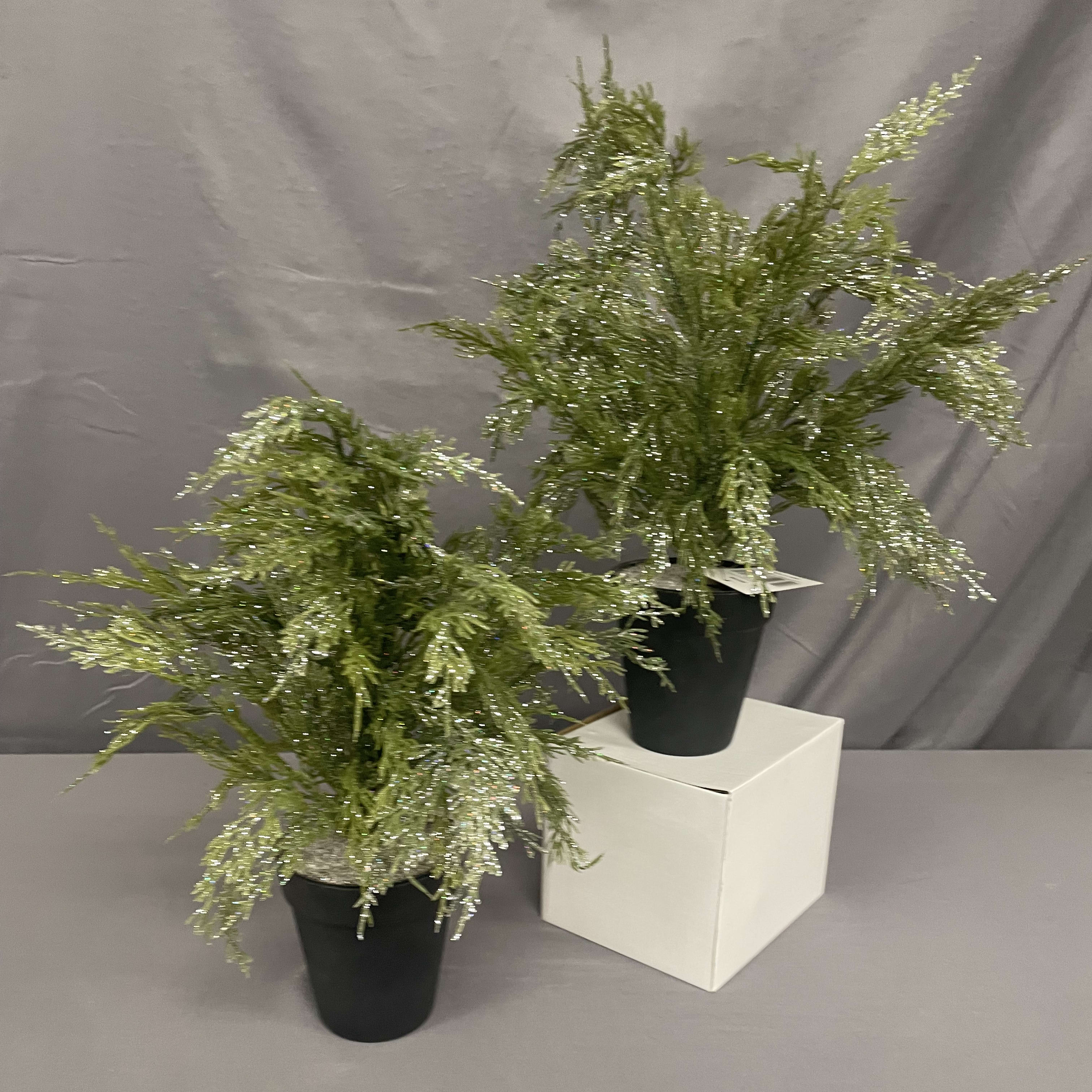 Small Sparkle Cedar Tree