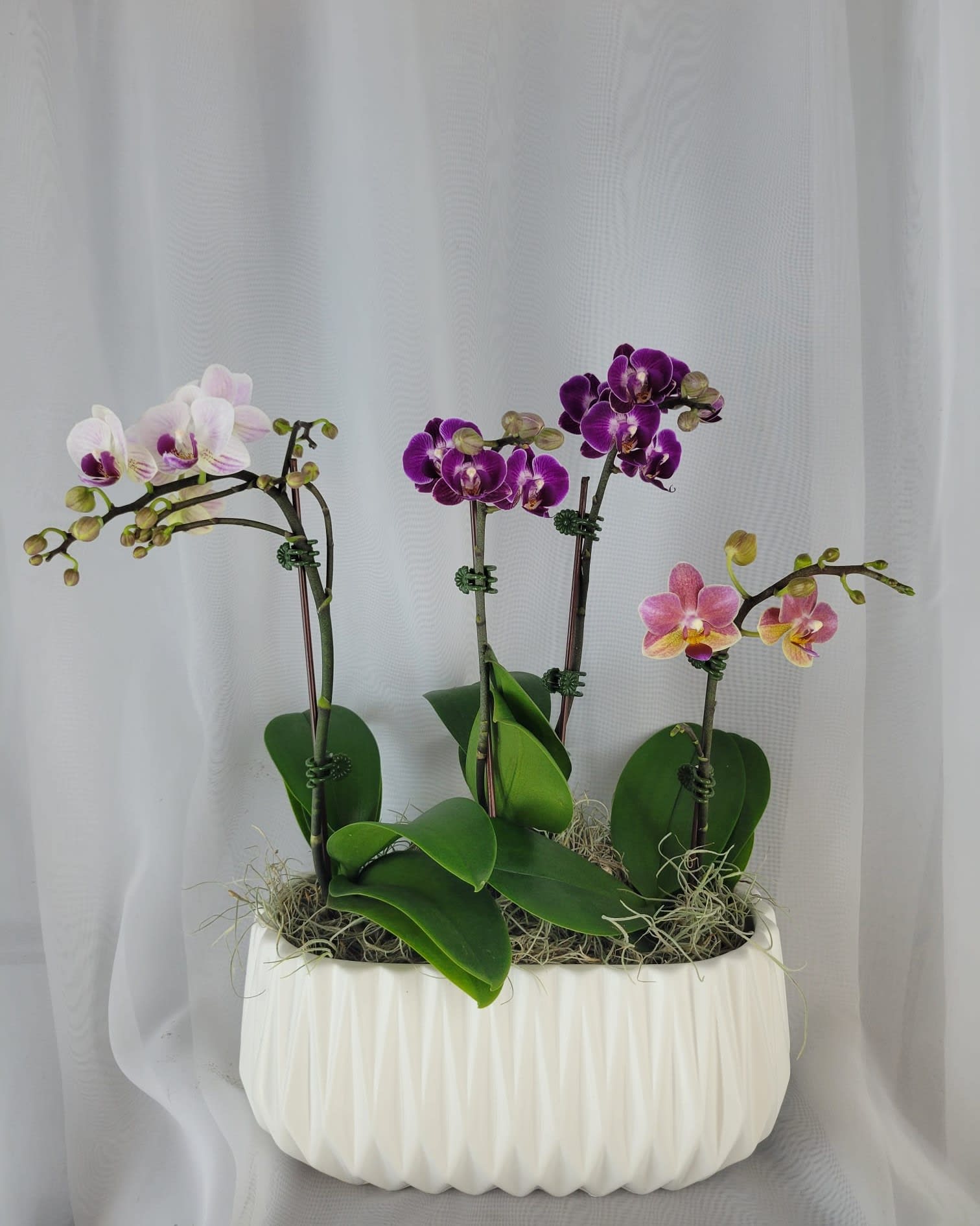 Mini Orchids Trio Flower Bouquet