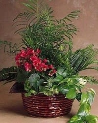 Lush Planter Basket Flower Bouquet
