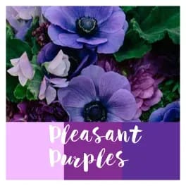 Purple Pallet