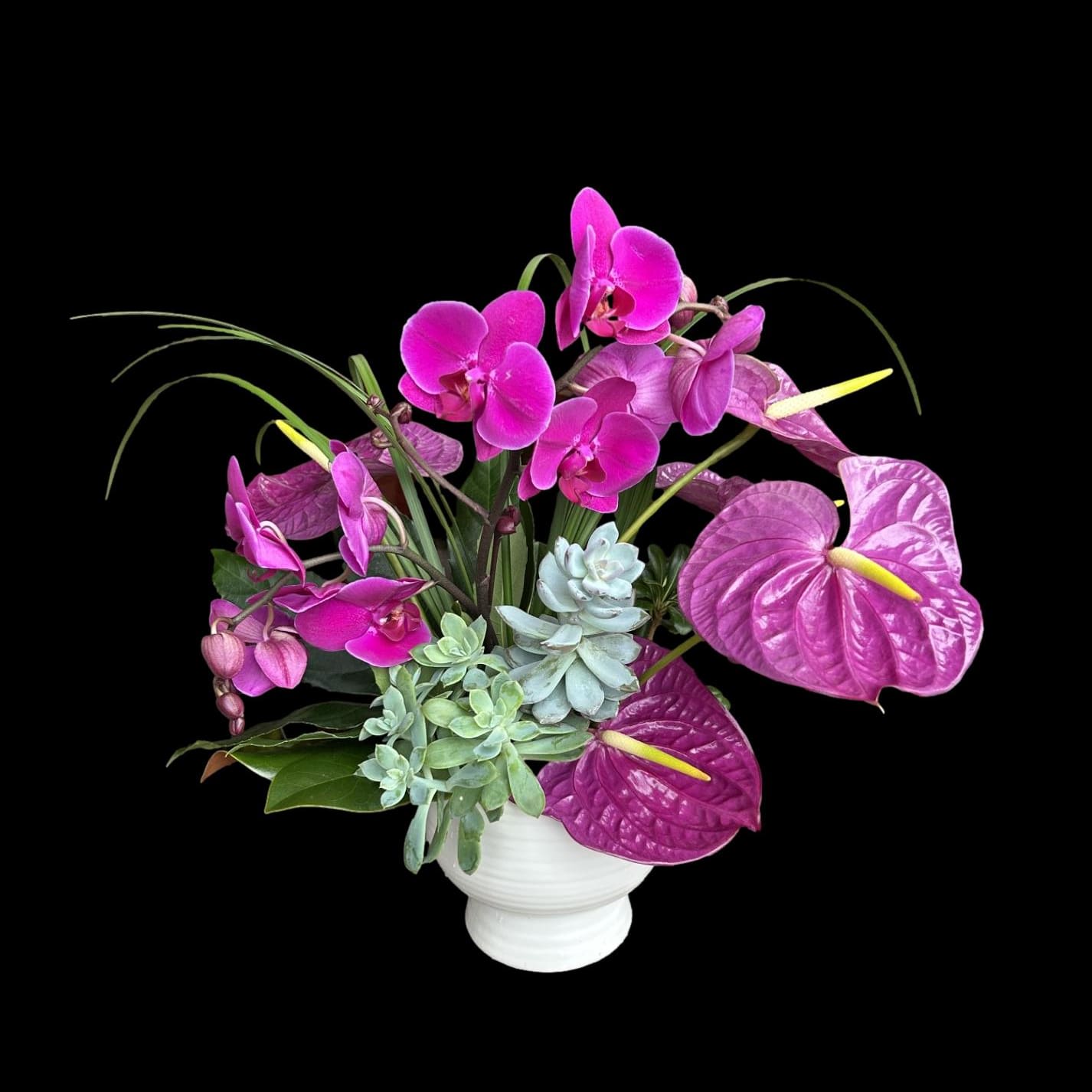 Passionate Purple Design