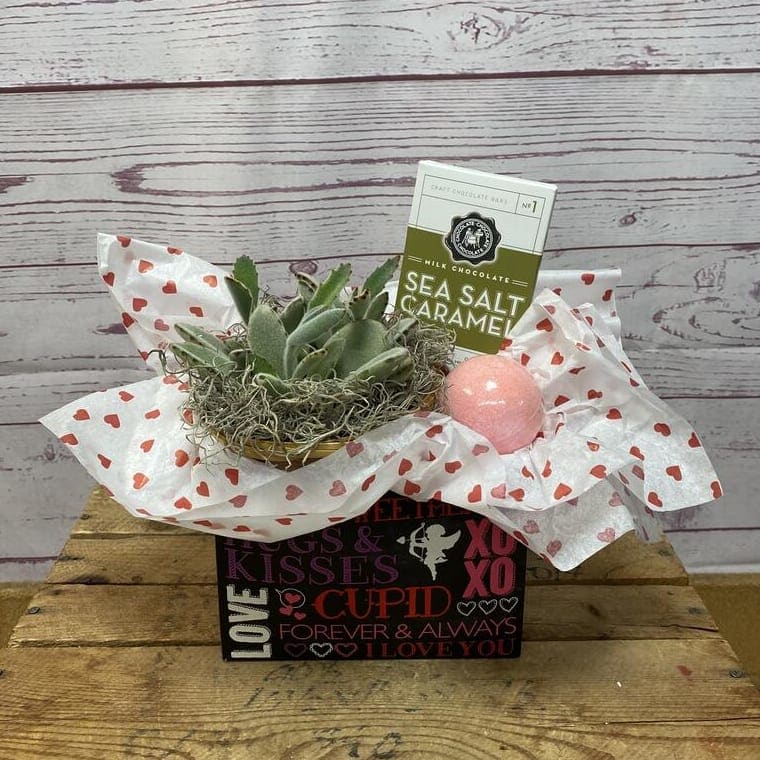 Mindful Moments Plant Gift Set