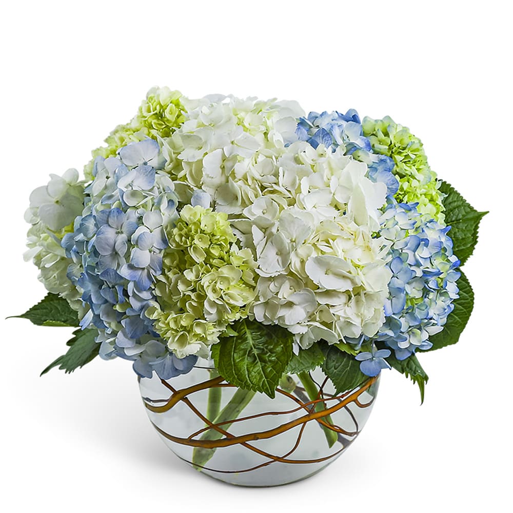 Modern Hydrangea Flower Bouquet