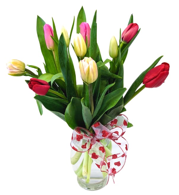 Tulip Love VM-1177